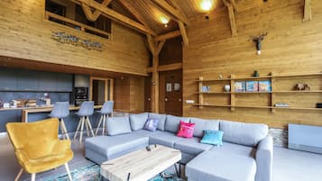 TV connectée, cheminée, livres