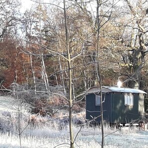 Cabin | Garden - Cosy Woodland off Grid Shepherds Hut - Rowan (Castle Douglas)