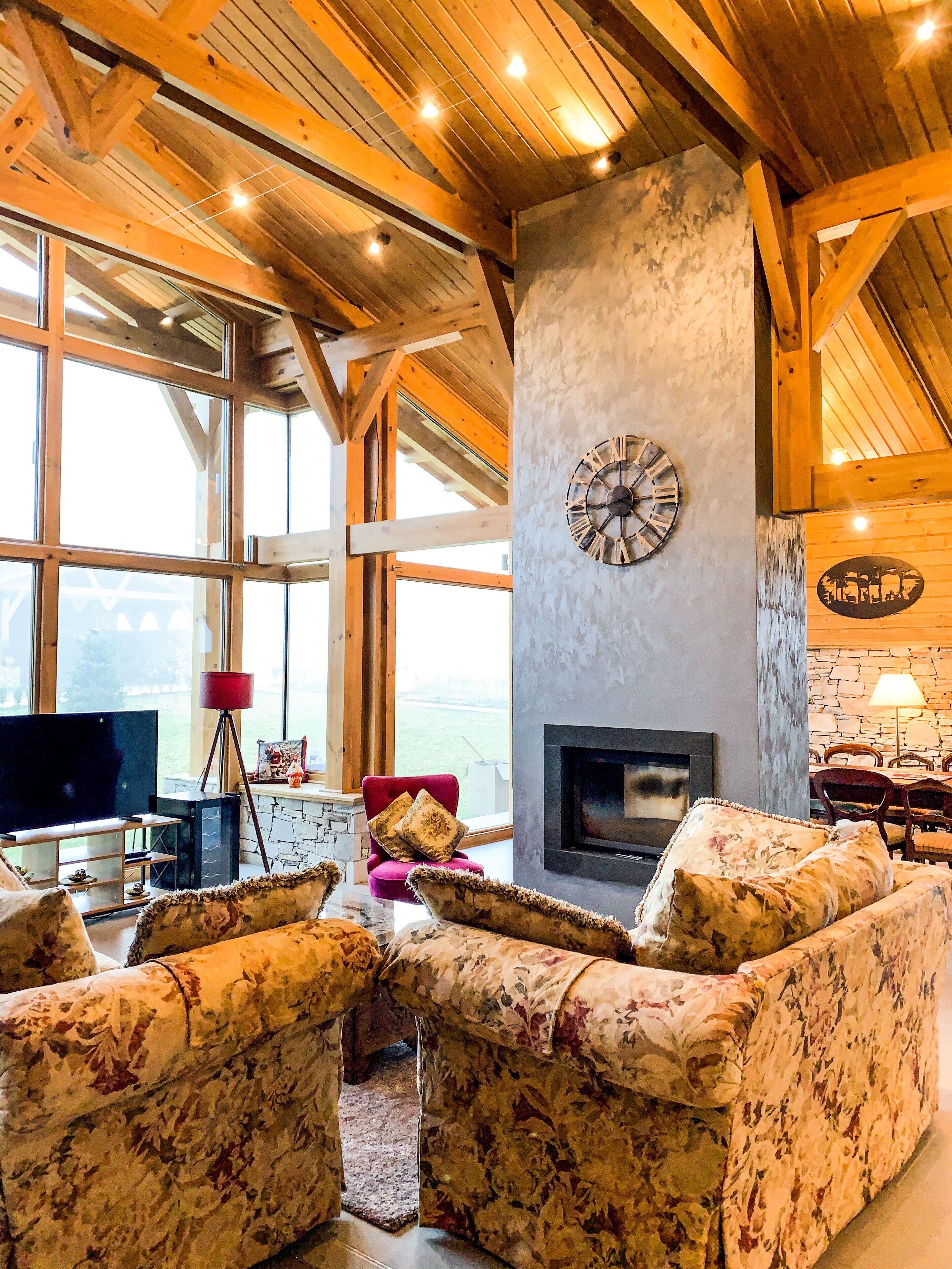 TV connectée, cheminée, livres