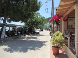 A coastal street with a restaurant on the right, a covered seating area on the left, and a potted plant in the foreground.