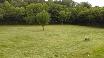 Le terrain