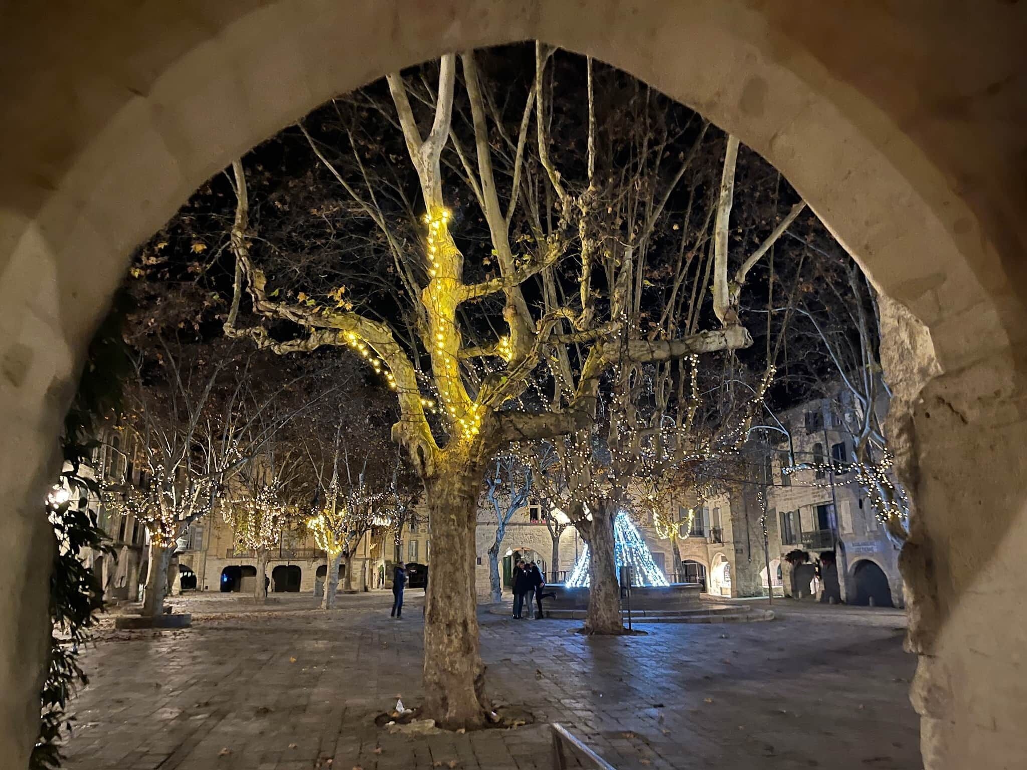 An arched corridor with trees adorned with lights, a paved walkway, and historic buildings in the background.