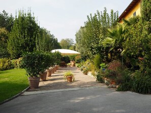 المنطقة المحيطة بالمنشأة