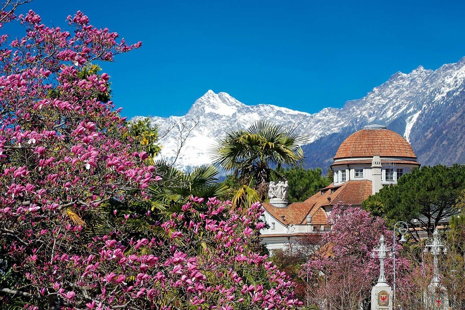 Un edifici amb teulada daurada, envoltat de muntanyes nevades i arbres en flor.