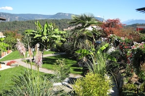 Un jardin avec différentes espèces de plantes, un sentier et une chaîne de montagnes en arrière-plan.
