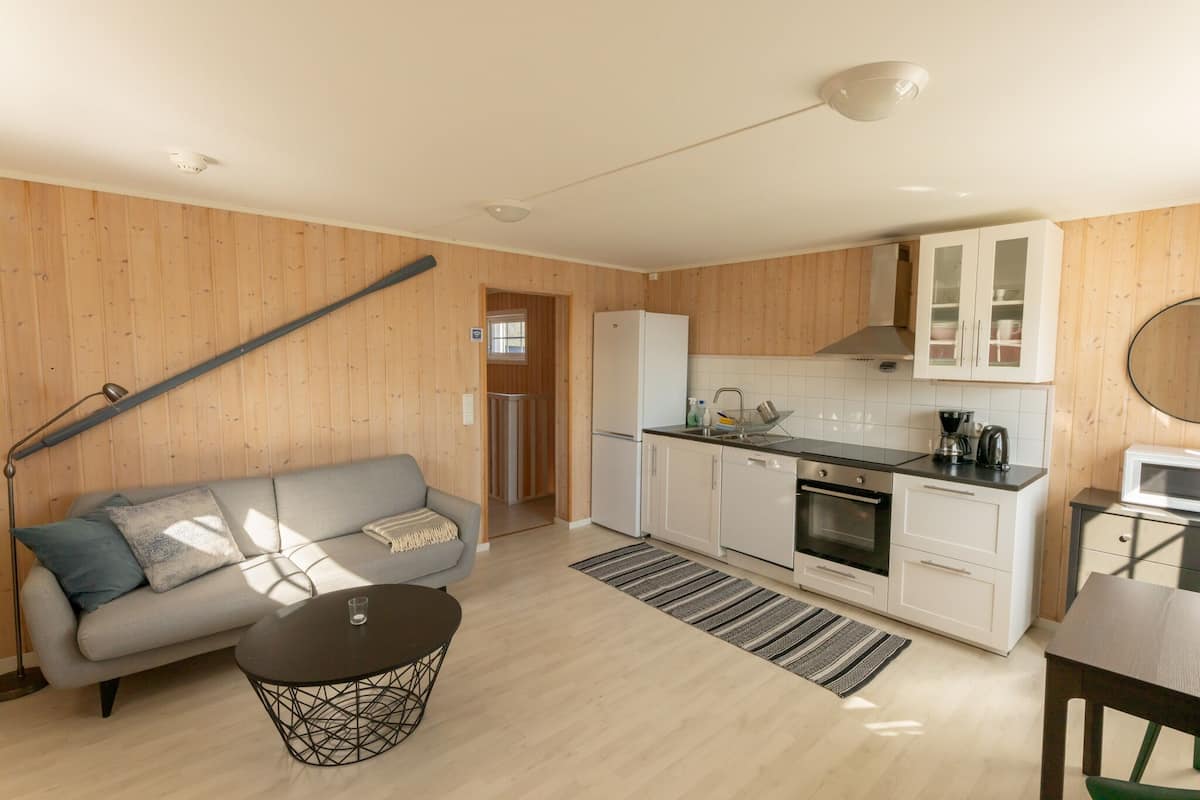 apartment, 1 bedroom | living area