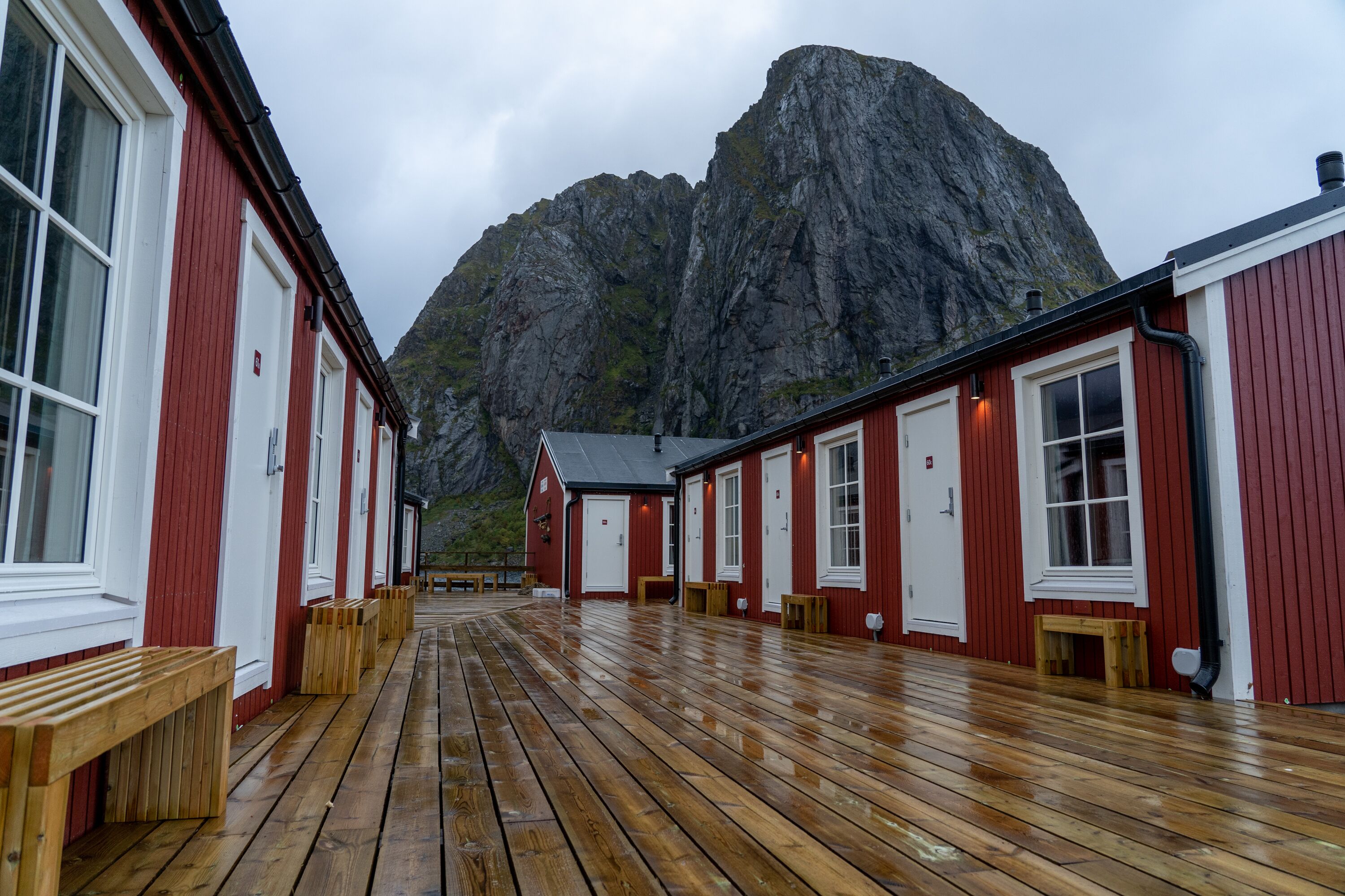 高級平房, 1 間臥室 | 露台/庭院