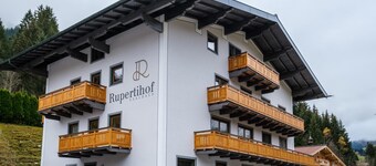 Apartment near the Reiterkogel slope