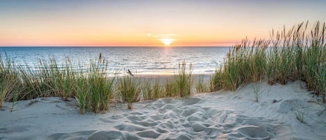 Plage à proximité