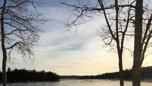 Property grounds - The Owlet - Waterfront overlooking blueberry fields (Blue Hill)