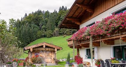 Cosy apartment with beautiful view from the balcony