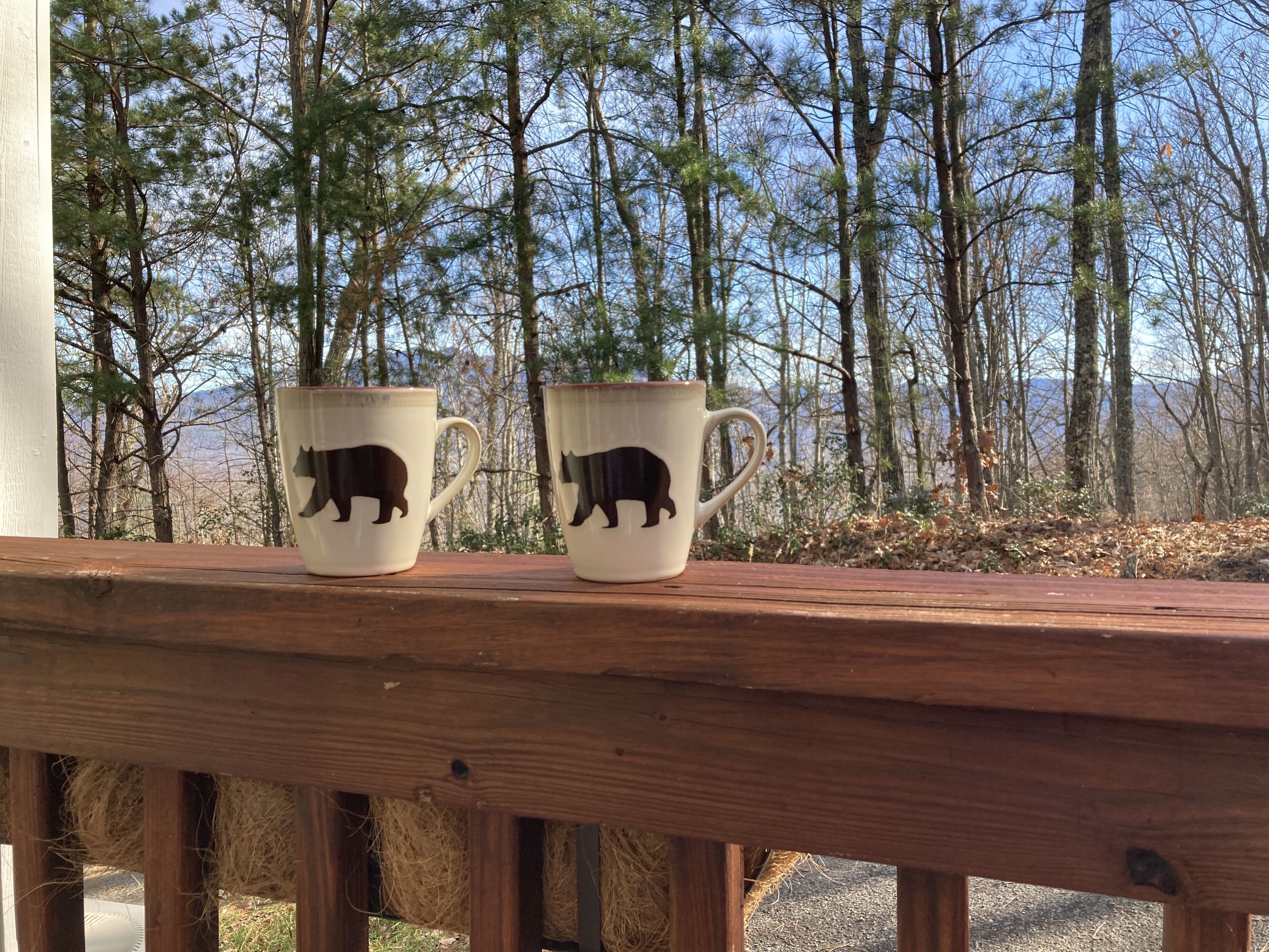 Two ceramic mugs with bear designs on a wooden deck overlooking a forested area.