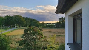 A house with a white exterior and a window. There is a grassy area with trees and a path leading to a road. - Pension Petersen (Bergen auf Ruegen)