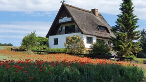 A traditional house with a thatched roof, surrounded by a field of red poppies, and a sign indicating it is a restaurant. - Pension Petersen (Bergen auf Ruegen)