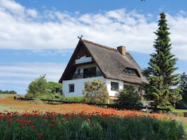 Una casa tradicional con techo de paja, rodeada por un campo de amapolas rojas, y un letrero que indica que es un restaurante.