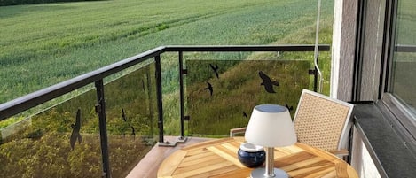Standard Double Room, Ensuite | Balcony view