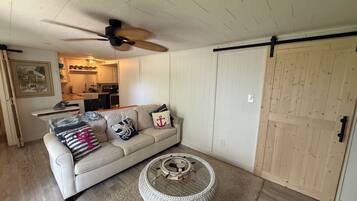 Smart TV, fireplace, books