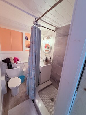 シャワー、ヘアドライヤー、タオル、トイレットペーパー