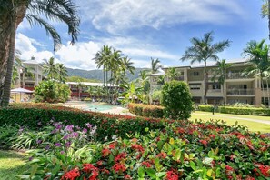 Property grounds - Amphora Resort 1 Bedroom Apartment (Palm Cove)