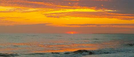 Playa en los alrededores, camastros y toallas de playa