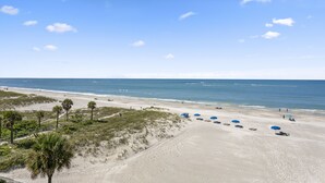 Una playa con arena, agua y palmeras.