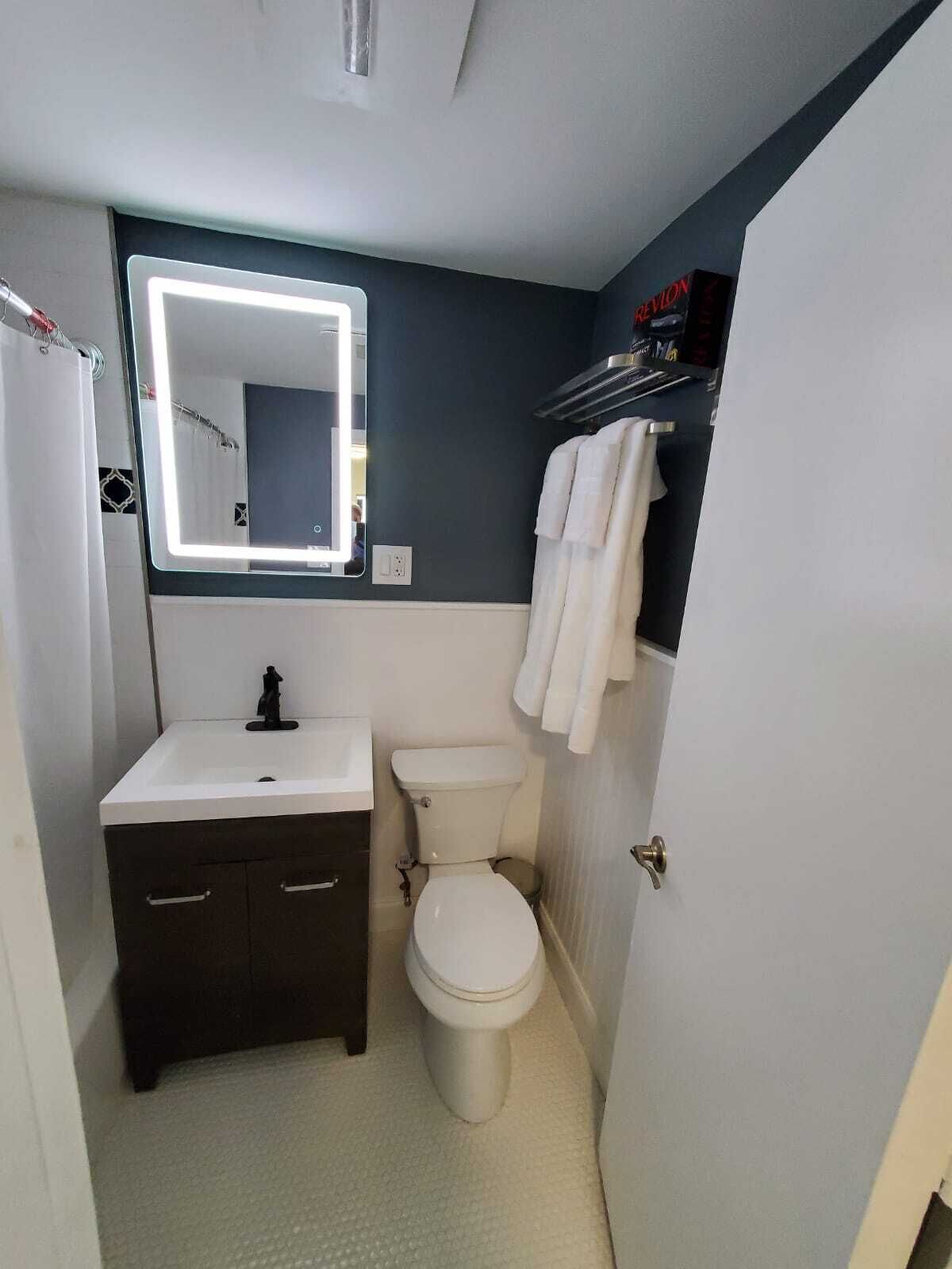 Une petite salle de bain avec un lavabo blanc, un meuble-lavabo foncé et des toilettes. Un miroir, surmonté d’une lampe, est fixé au mur.