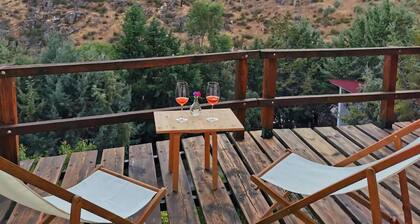 Cozy and bright rural house. Terrace 22 mts