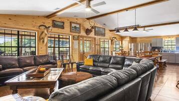 Televisión, chimenea y reproductor de DVD