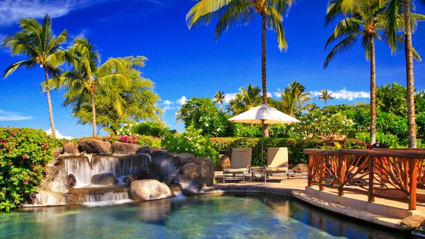Una piscina cristalina con cascada, rodeada de palmeras y una terraza de madera con sillones de descanso.