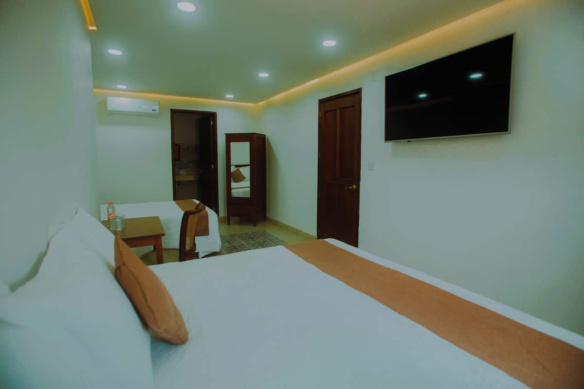 Una habitación de hotel con una cama, un escritorio, una silla, un televisor y un armario.