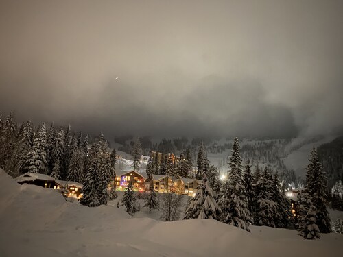 Condo C at The St. Bernard