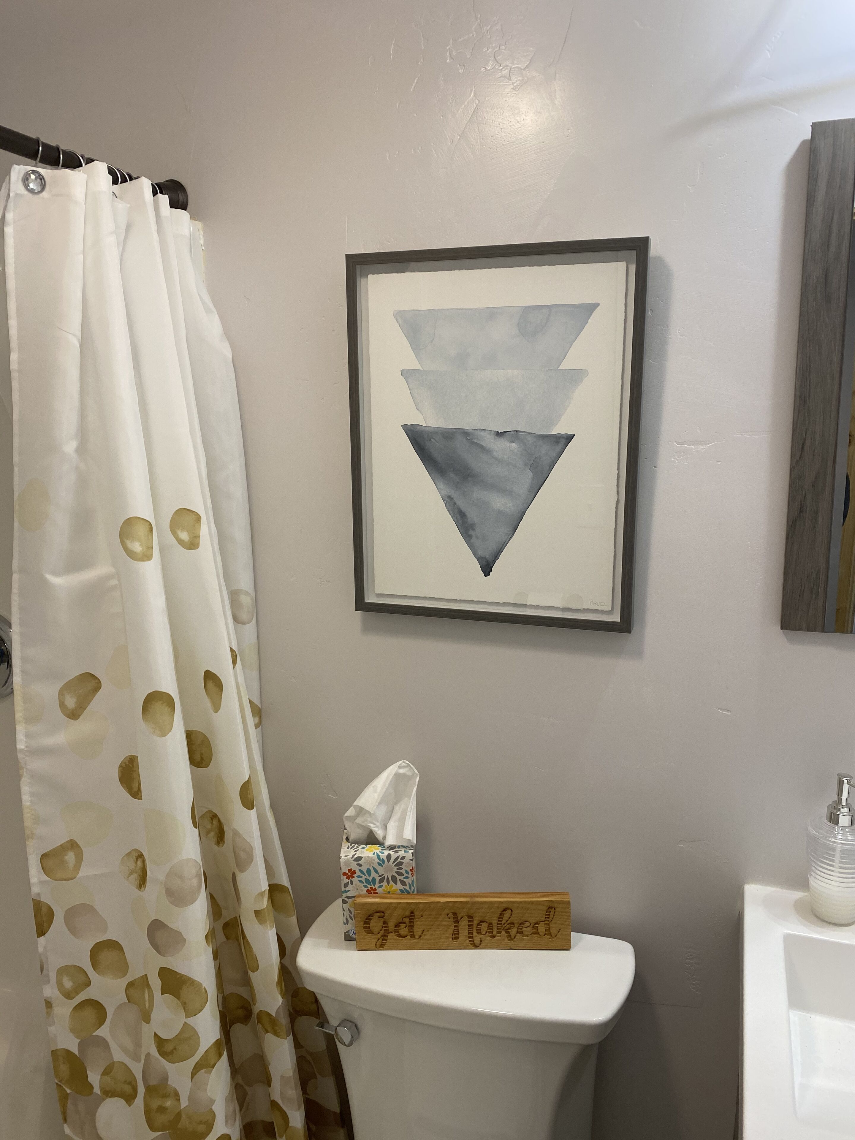 A bathroom with a toilet, a framed artwork above it, and a shower curtain with a pattern.