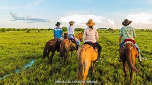 Four people riding horses in a grassy field. - Reserva Natural El Encanto de Guanapalo (San Luis de Palenque)