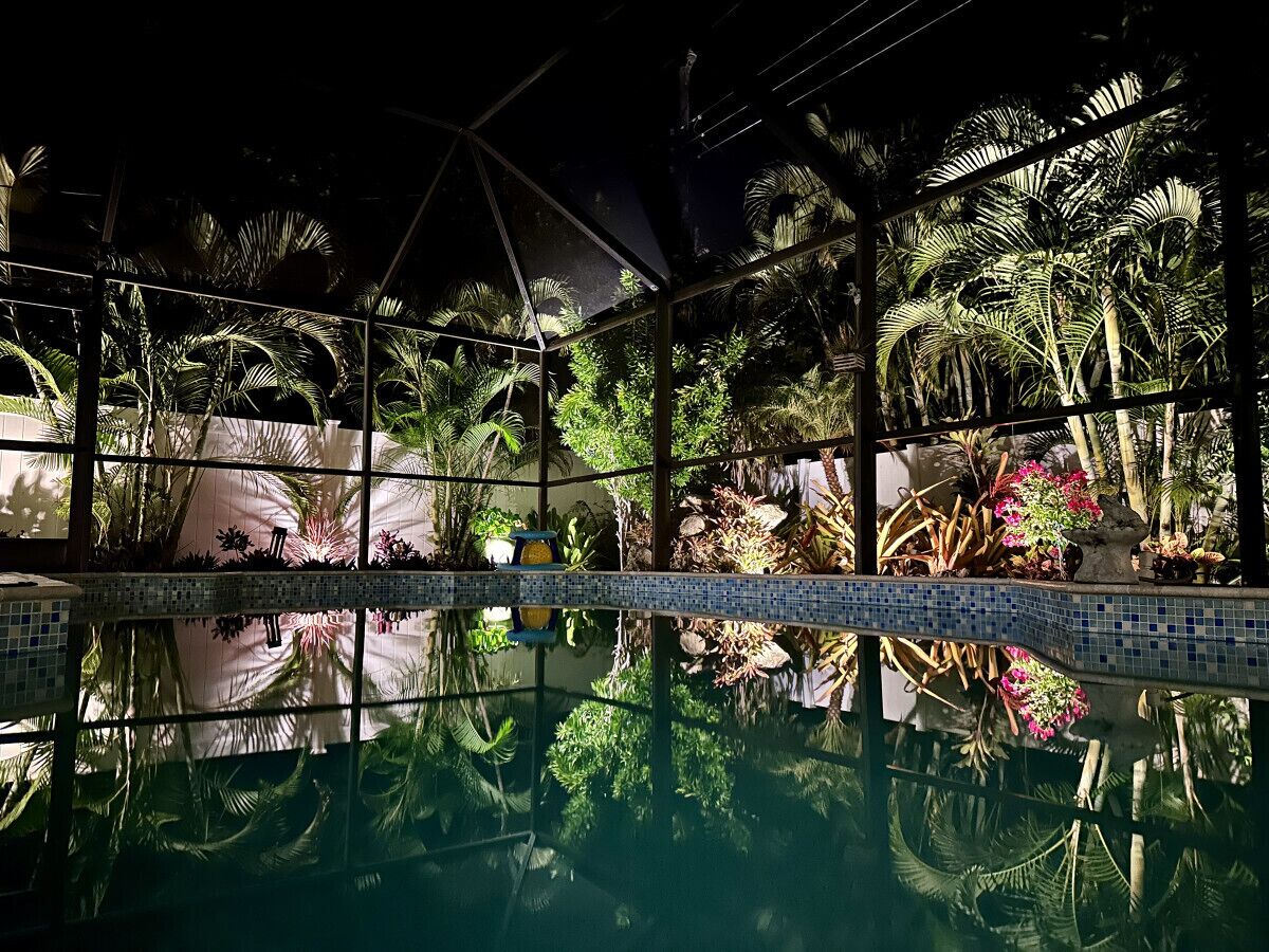 Une piscine dont le bord est revêtu de carreaux, entourée de diverses plantes tropicales et de palmiers.