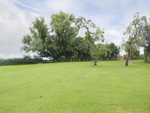 Property grounds - Enjoy the peaceful surroundings of the Herefordshire countryside. (Little Cowarne, near Bromyard)