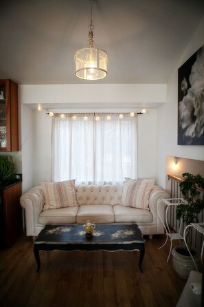 Smart TV, DVD player, video library