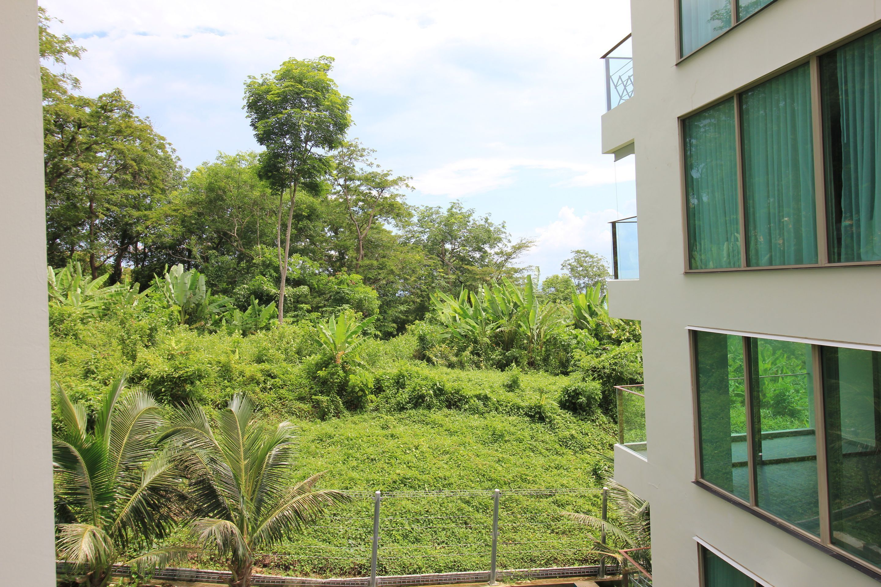Un edificio moderno con ampie finestre e vista su un verde lussureggiante.