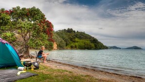 A tent set up by a lake with a person fishing, surrounded by trees and hills. - Coromandel Shelly Beach TOP 10 Holiday Park (Coromandel)