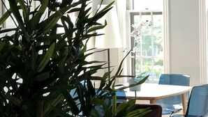 A room with a round table, two chairs, a potted plant, and a window with white curtains.