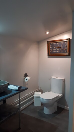 Regadera, secadora de cabello, toallas, papel de baño 