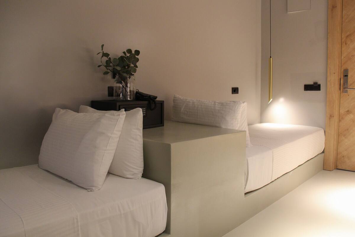 Ein modernes Hotelzimmer mit zwei Betten, einem Nachttisch mit einer Pflanzvase und einer Holztür.
