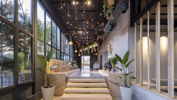 Un interior moderno con ventanas amplias, escaleras de madera y plantas en macetas.