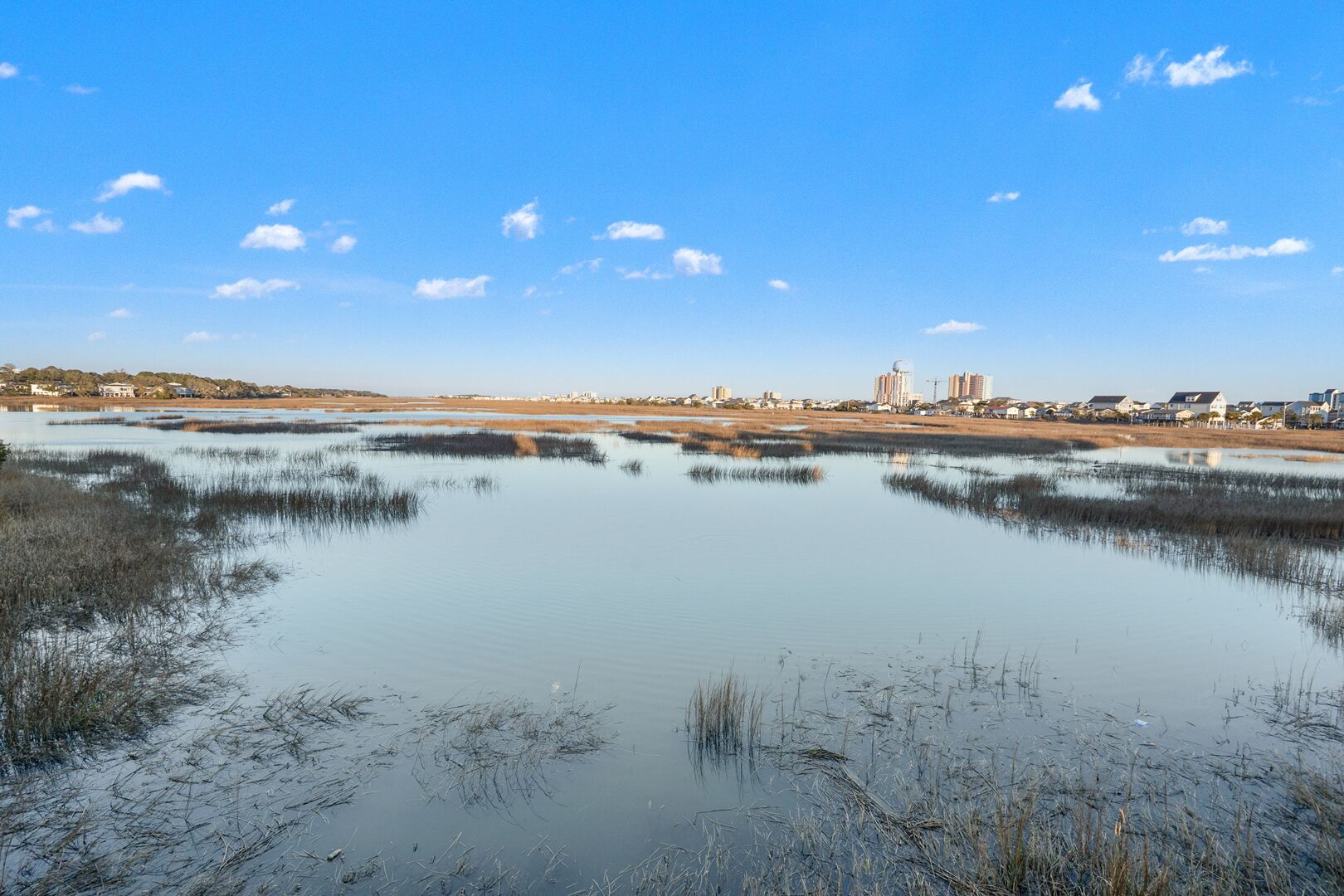 Eine Küstenlandschaft mit ruhigem Wasser, Schilf und Gebäuden in der Ferne.