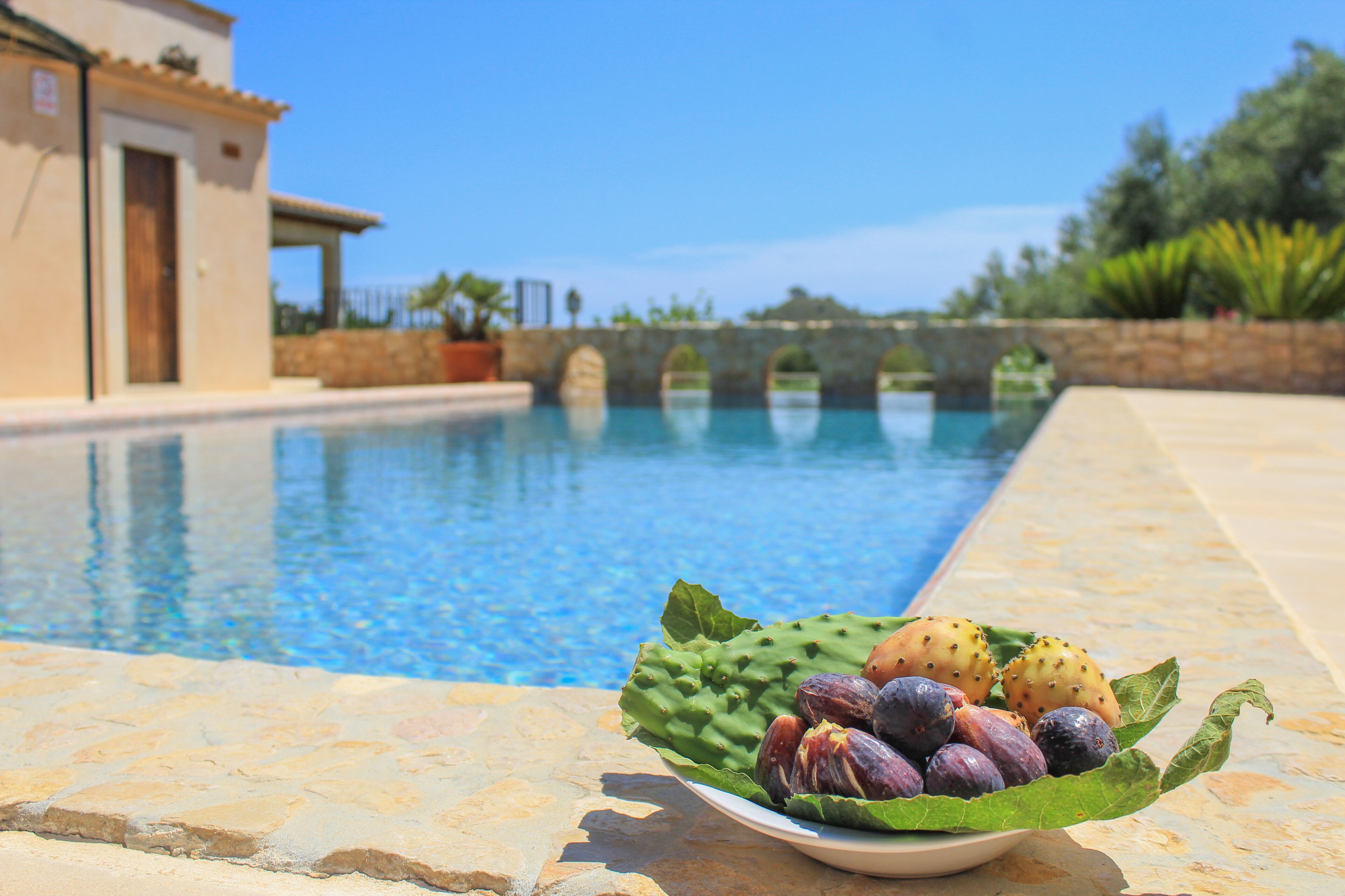 Outdoor pool, sun loungers