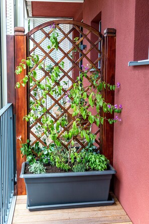 Property grounds - Histrias Apartment Koper - Red (Koper)