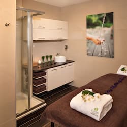 Body treatments, aromatherapy, body wraps, body scrubs, facials