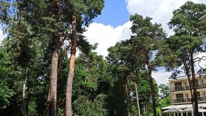 A pathway leading through a park with trees and a building in the background. - Z-Hotel Business & Spa (Otwock)