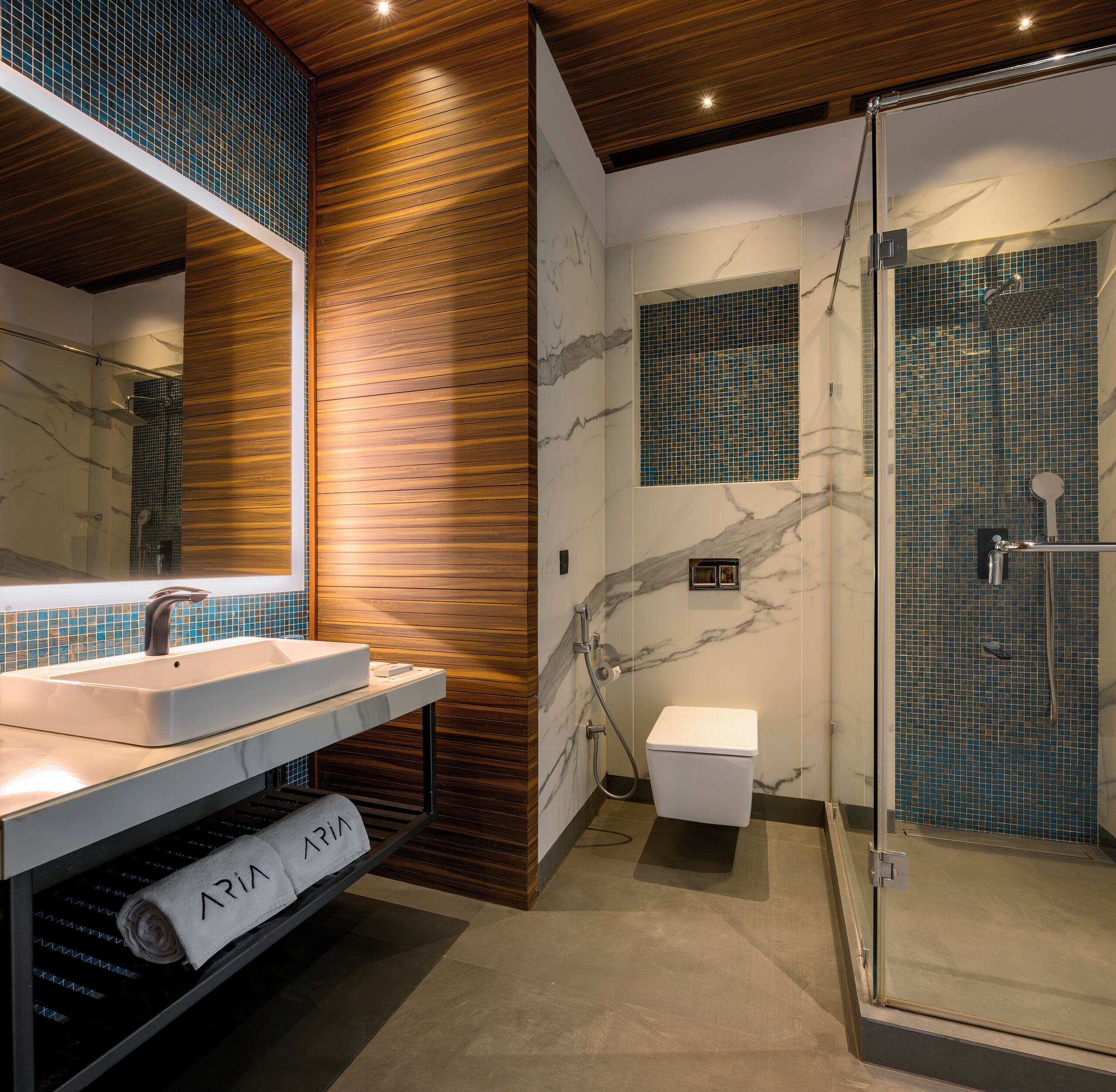 Dusch, regndusch, gratis toalettartiklar och hårtork