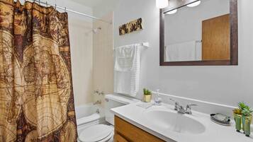 Combined shower/bathtub, hair dryer, towels
