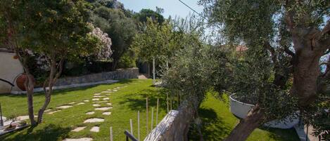 A garden with a stone pathway, a wooden fence, and a large tree.